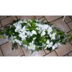 Sympathy 2 - Prices start from £85.00